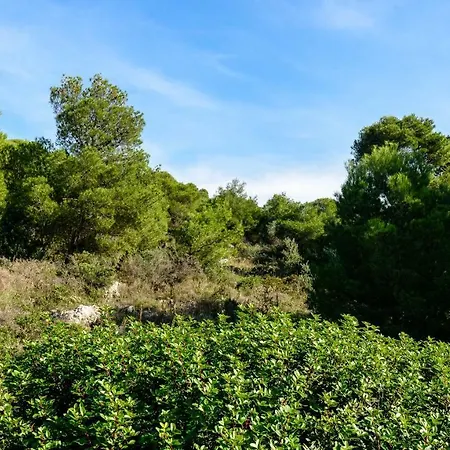 Vila Mirka With Astonishing View