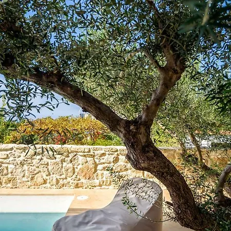 Mirka With Astonishing View Vila *